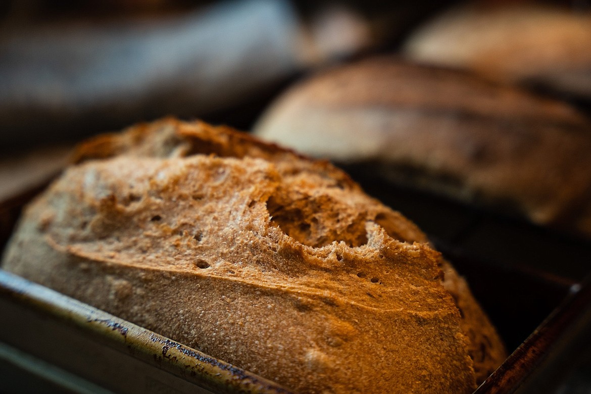 Loaves of bread are lined up for Sourdough Pursuit. (Photo courtesy of Kyle Stansbury Photography)