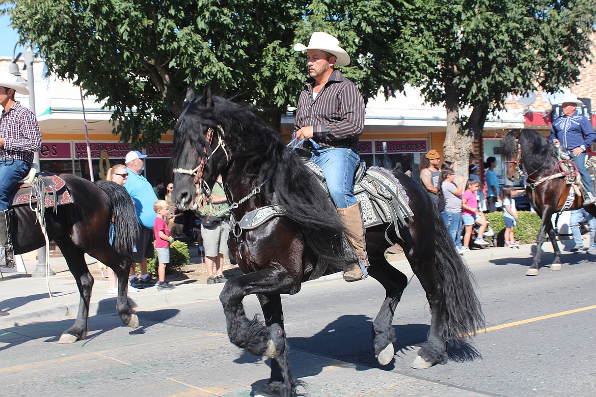 A high-stepping horse and its rider make their way down the FCAD parade route.