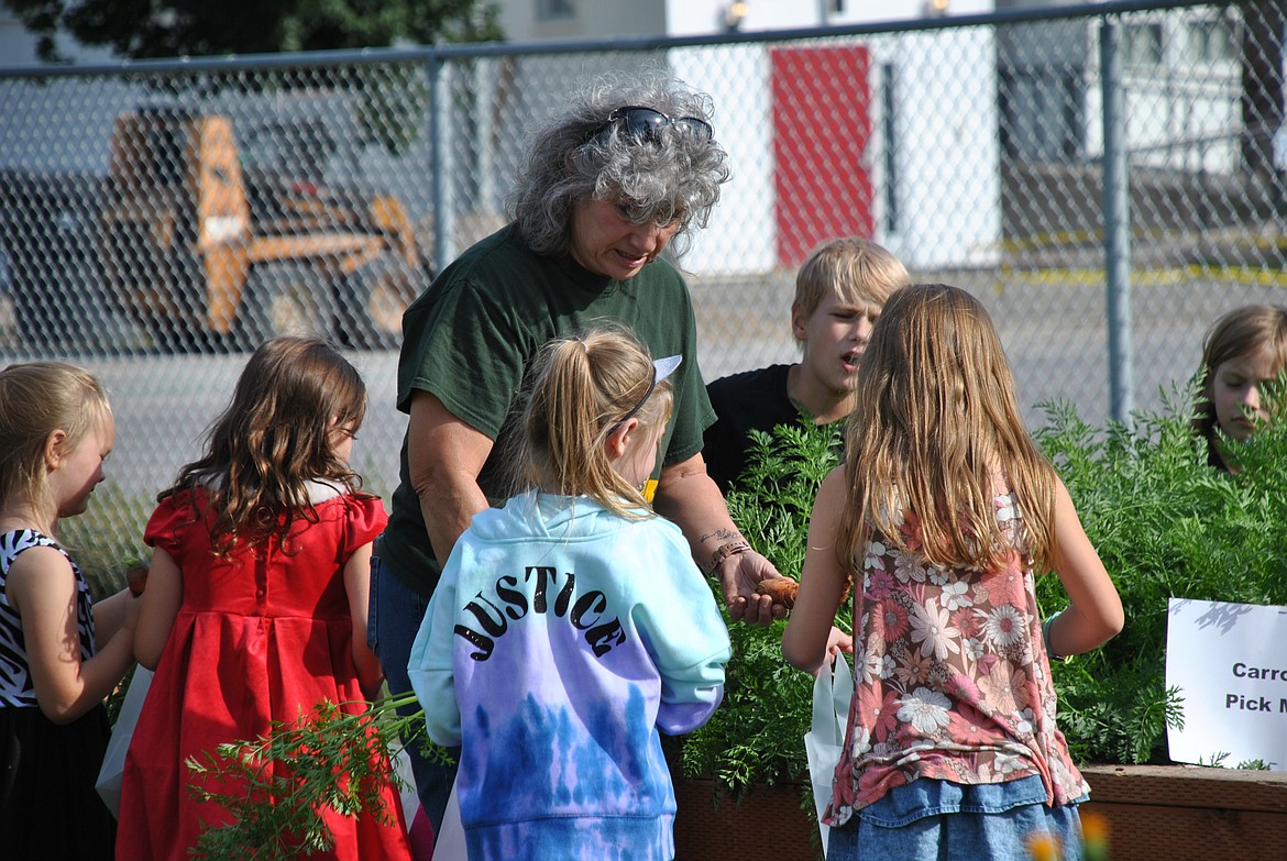 Barbara Hill shows the 21st Century afterschool Garden Club what size carrots to pull at the harvest party at St. Regis School last week. (Mineral Independent/Amy Quinlivan)