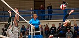 Spikers lose to Bulldogs