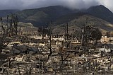 An old car tire, burnt trees and a utility pole may be key in finding how the Maui wildfire spread