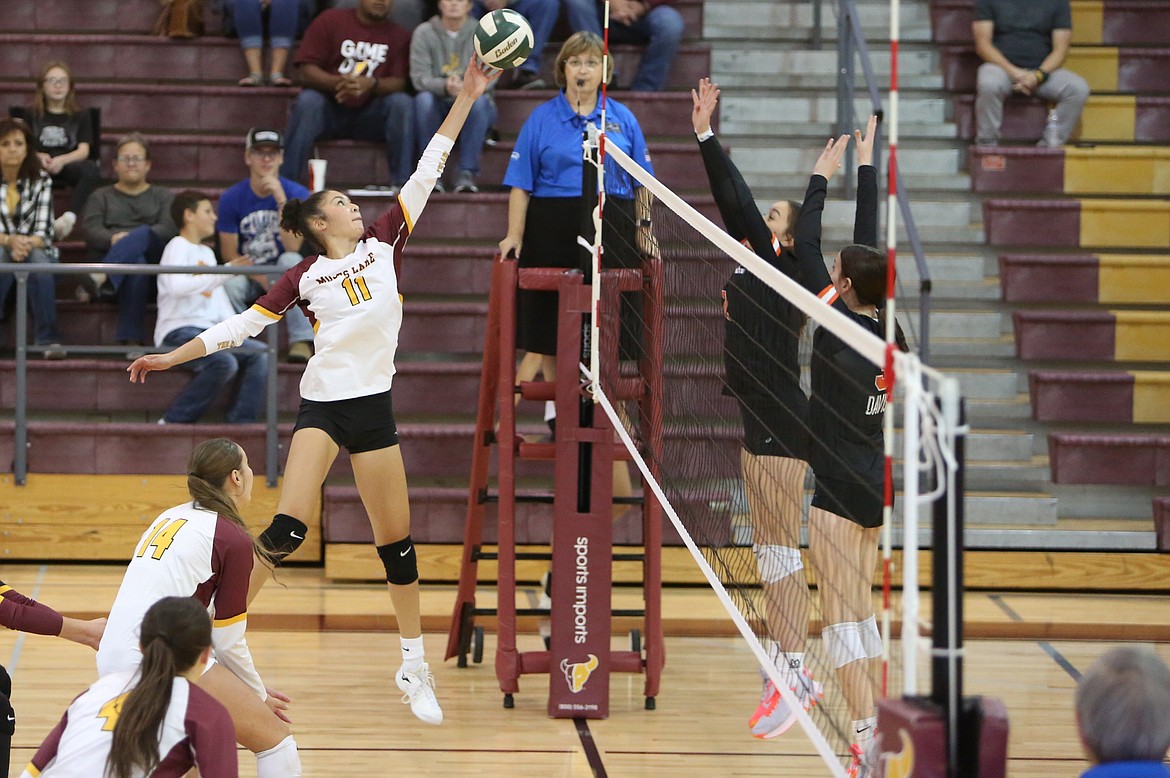 Moses Lake junior Madison Bond (11) rises up to tip the ball over the net. Bond led the Mavs with 21 kills in Tuesday’s match against Davis.