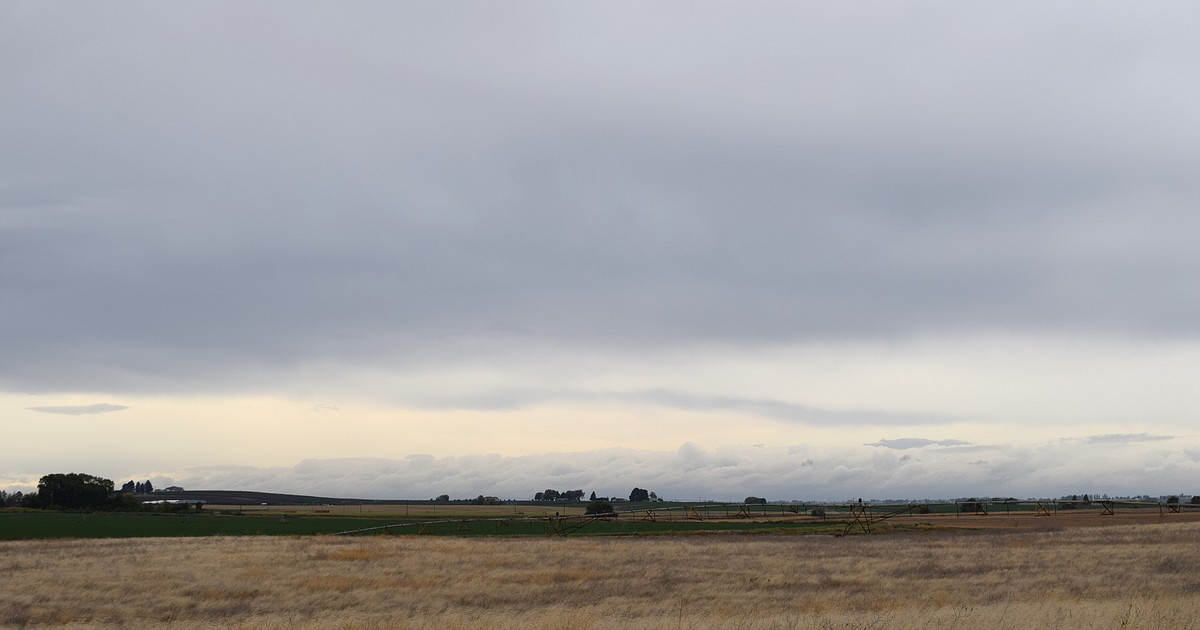 Warden finalizes 1 million land sale to port Columbia Basin Herald