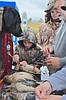 Biologists on lookout for avian influenza