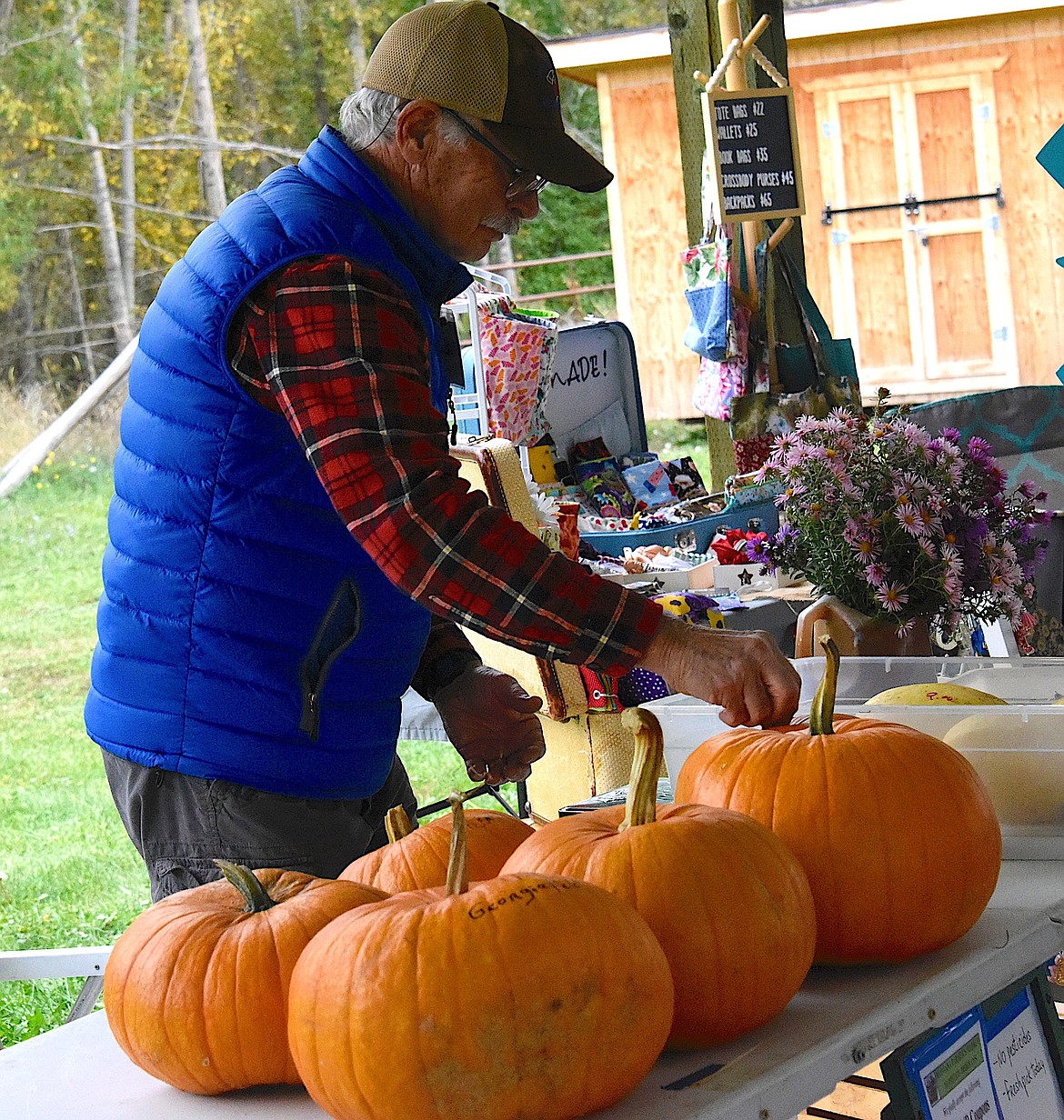 A vendor at the Mission Falls Market arranges his pumpkins as the Garlic Festival get under way. (Berl Tiskus/Leader)