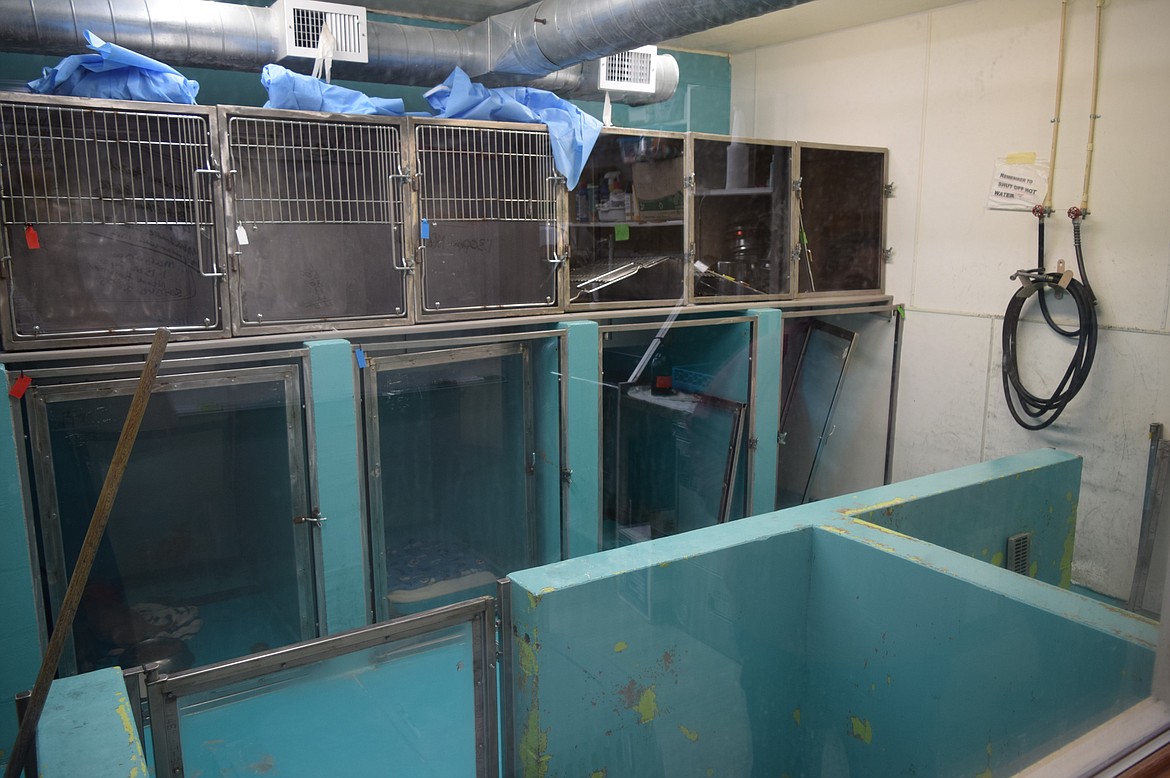 The “puppy room” of the Adams County Pet Rescue facility. Often staff have to protect dogs from potential parvo virus through isolation rooms.