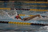 Mavs swimming well through first month of season