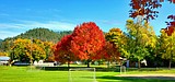 Bright and colorful