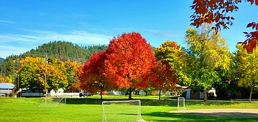 Fall colors are gleaming in this photo taken Wednesday, Oct. 4 at the play field at Bryan Park in Coeur d'Alene.