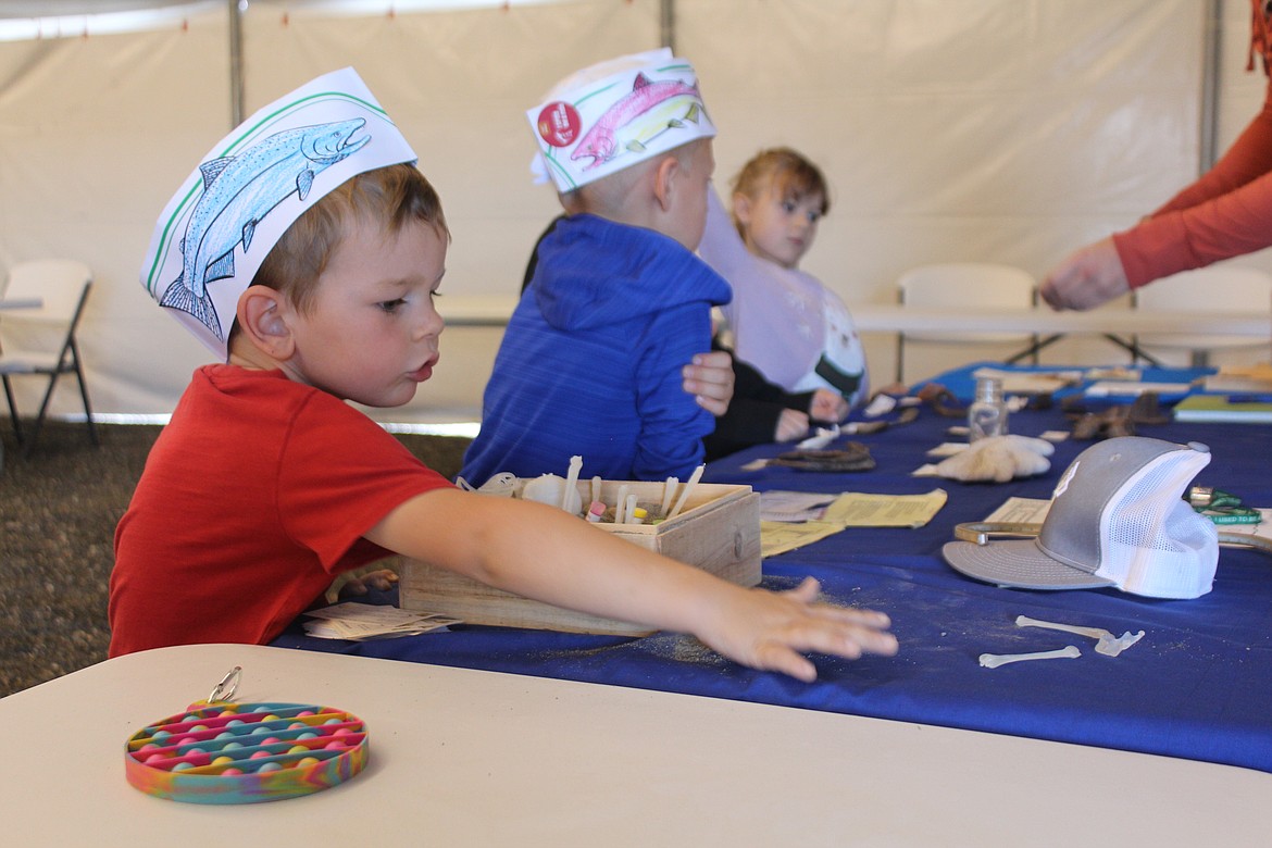 A fish-hatted Archaeology Days visitor reaches for the parts to build a skeleton. The event had a variety of educational activities to allow visitors to learn about the history of the area.