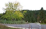 Blackwell boat launch to close for season
