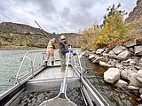 Fish surveyed ahead of quagga mussel treatment