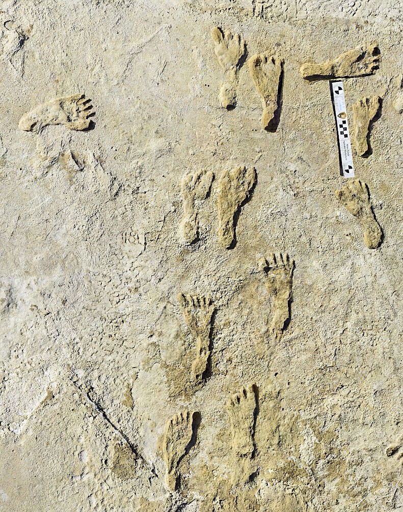 This undated photo made available by the National Park Service in September 2021 shows fossilized human fossilized footprints at the White Sands National Park in New Mexico. Fossil human footprints discovered in White Sands, New Mexico likely date back to between 21,000 and 23,000 years ago, according to two lines of scientific evidence published Thursday, Oct. 5, 2023. (NPS via AP)