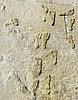 Further evidence points to footprints in New Mexico being the oldest sign of humans in Americas