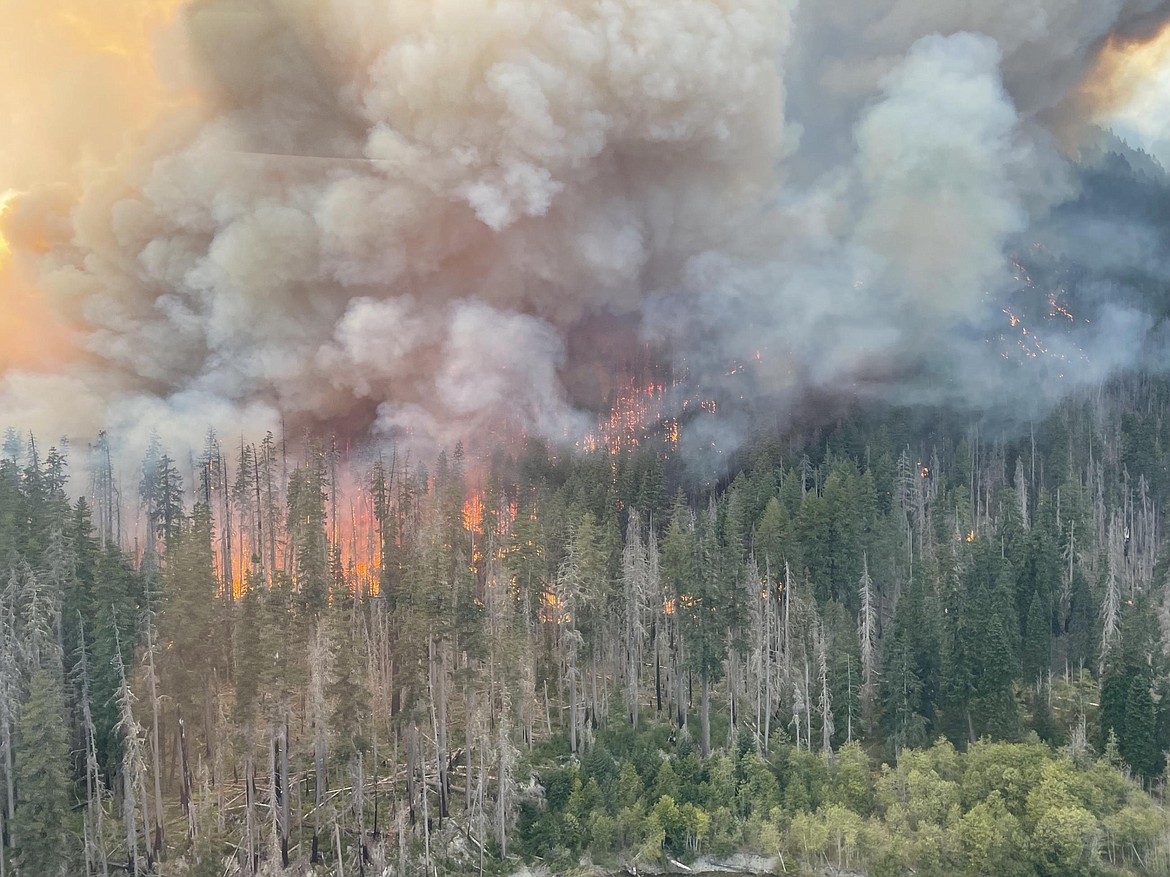 The Delabarre fire, one of four in Olympic National Park, burns on Sept. 16. The fire covered 4,168 acres but has stopped spreading, according to the U.S. Forest Service.