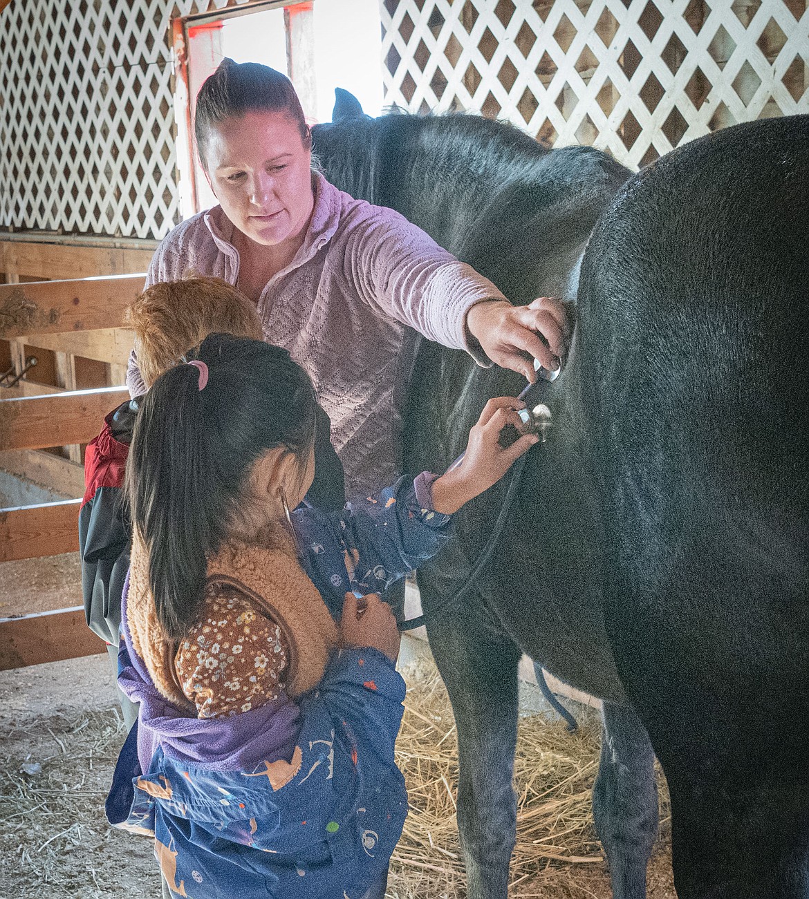 Veterinarian Dr. Stephanie McIntyre shows students how to listen to a horse's heart beat. (Tracy Scott/Valley Press)