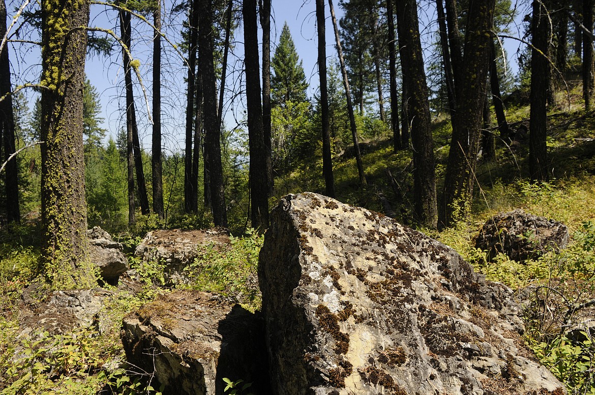 Medicine Rock (Skinkuts Rock) about 2 miles northeast of Rollins. (Rick Weaver photo)