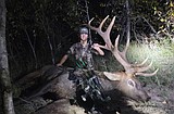For young hunter, a most improbable elk