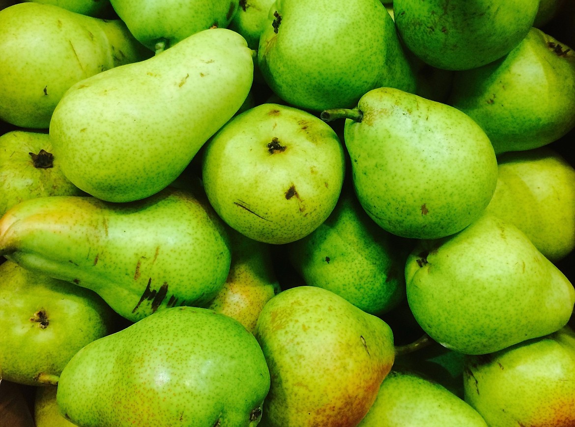 Pears may not get the attention apples do, but they’re an important product for Washington. This year’s pear harvest, underway now, is looking good, experts say.