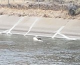 Police logs for Oct. 13, 2023