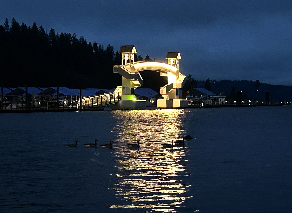 Canada geese pass through the reflection of lights on Lake Coeur d'Alene from the Boardwalk Marina footbridge early Thursday.