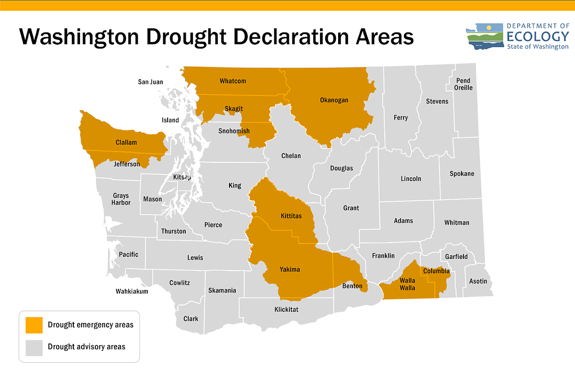 The Washington Department of Ecology released this map which indicates that the majority of the state has a drought advisory while the areas highlighted in gold face true emergency drought conditions. The department has extensive information available on the impacts of the drought. Find out more by visiting their site at https://bit.ly/WADROUGHT.