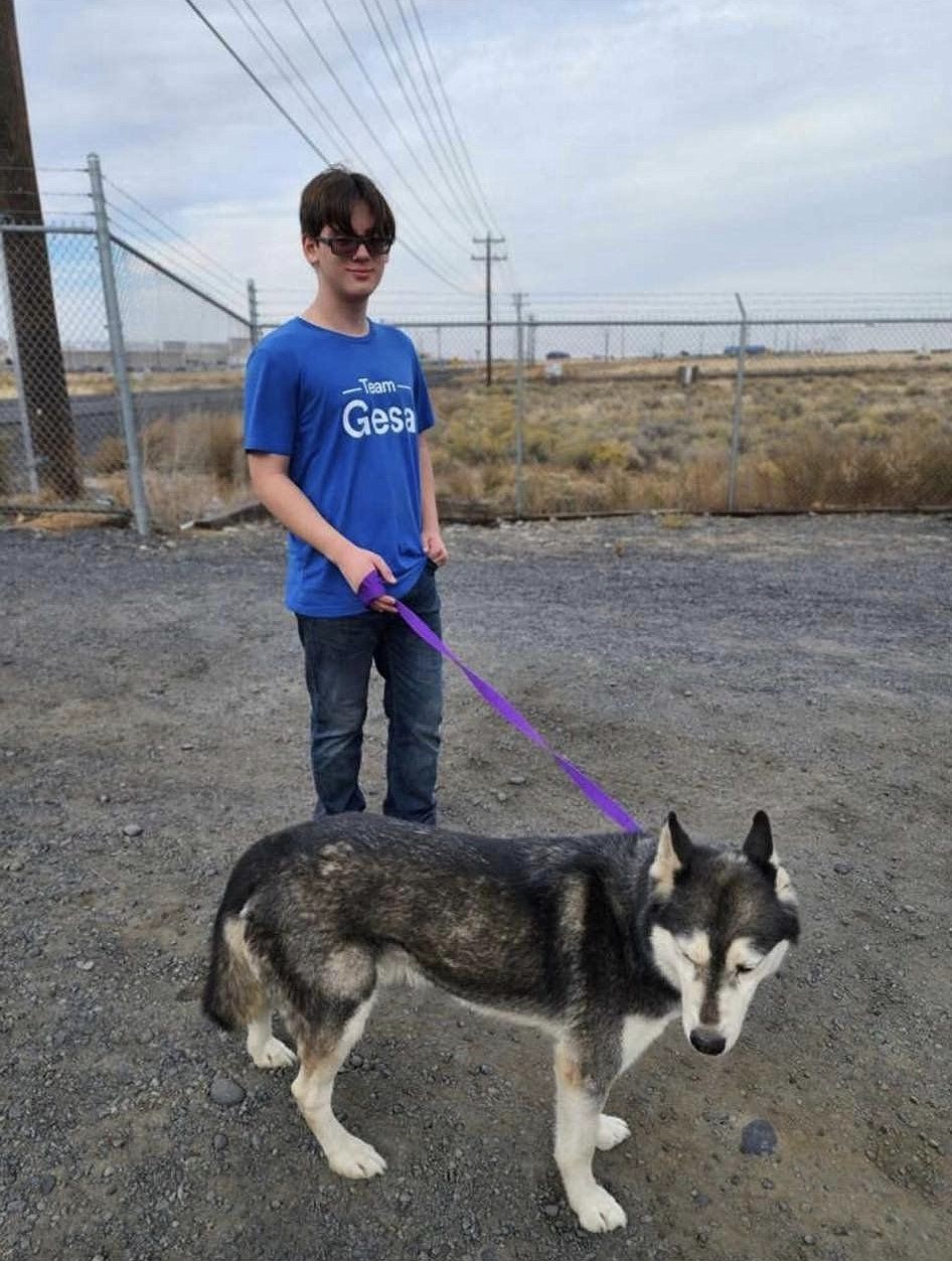 A Gesa employee takes one of GCAO's shelter animals for a walk. The shelter has dozens of dogs available and larger dogs tend to have longer stays at the no kill shelter than smaller animals.