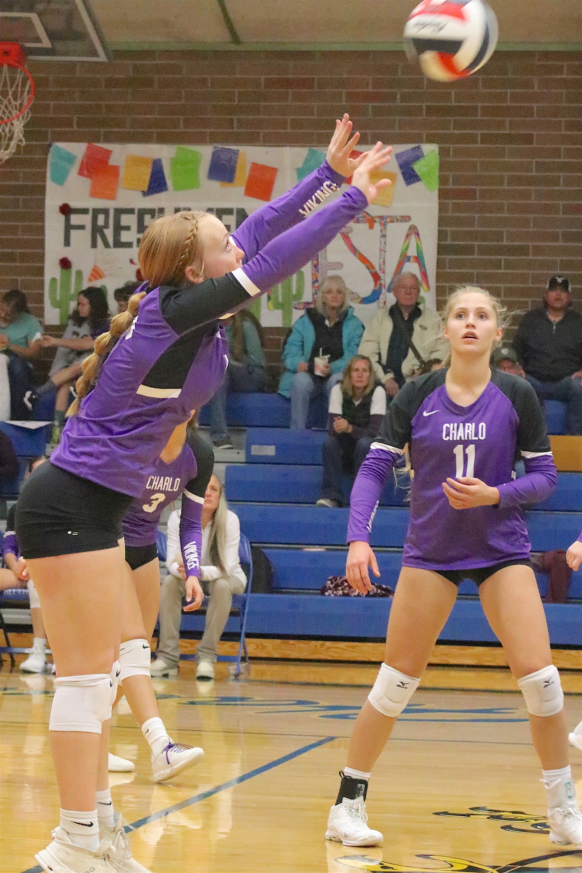 Lady Viking Breanne Zempel sets the ball during Saturday's match against Thompson Falls. (Michelle Sharbono photo)