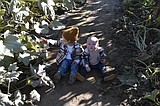 Pumpkin patch kids