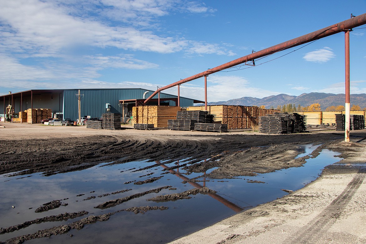 The F.H. Stoltze Land and Lumber mill, located between Columbia Falls and Whitefish, processes timber from logging projects. (Kate Heston/Daily Inter Lake)