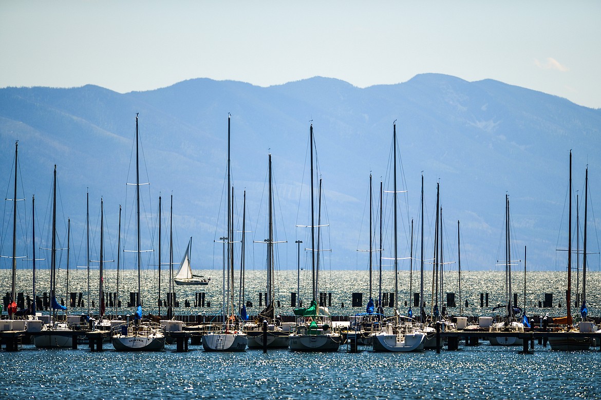 A sailboat cruises across the open waters of Flathead Lake past the docks of the North Flathead Yacht Club in Somers on Wednesday, July 26. (Casey Kreider/Daily Inter Lake)