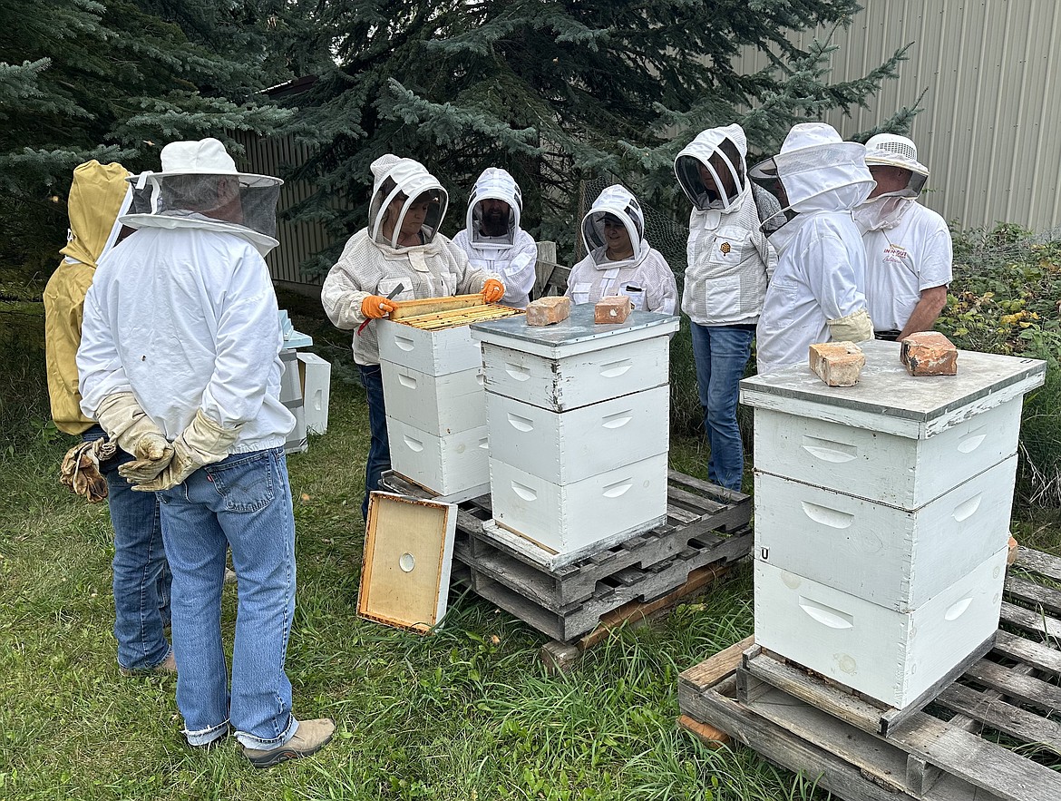 Angela Tollerson demonstrates the proper procedure for winterizing bee hives for members of the Flathead Valley Beekeepers. (Photo courtesy of Bert Gildart)