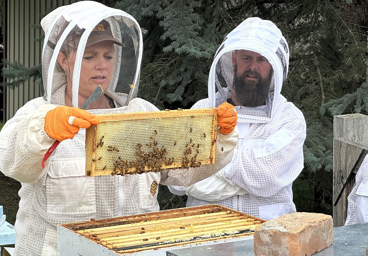 Angela Tollerson, while Andy Kris watches, holds up a frame from a bee hive during a gathering of the Flathead Valley Beekeepers. (Photo courtesy of Bert Gildart)