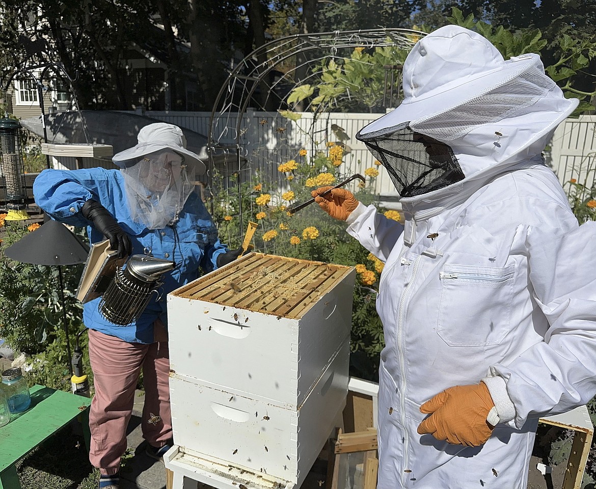 Cheylenne and David Gildart tend to their honey bee hive. (Photo courtesy of Bert Gildart)