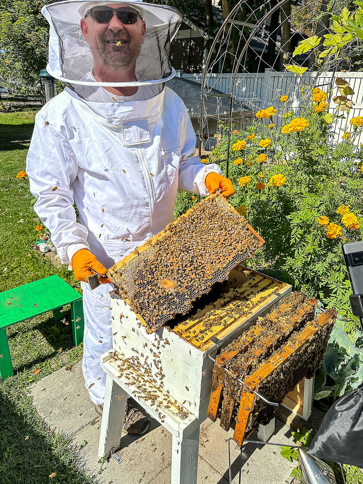 David Gildart shows off his honey bee hive. (Photo courtesy of Bert Gildart)