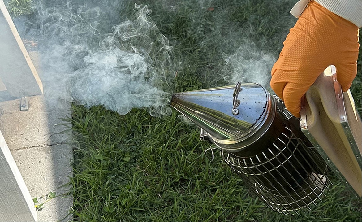 Beekeepers use smoke to keep bees calm during hive inspections. (Photo courtesy of Bert Gildart)
