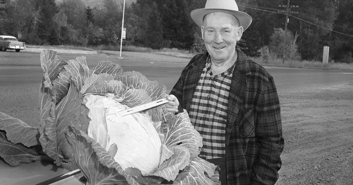 Yesterdays Many Glacier twister Hungry Horse News