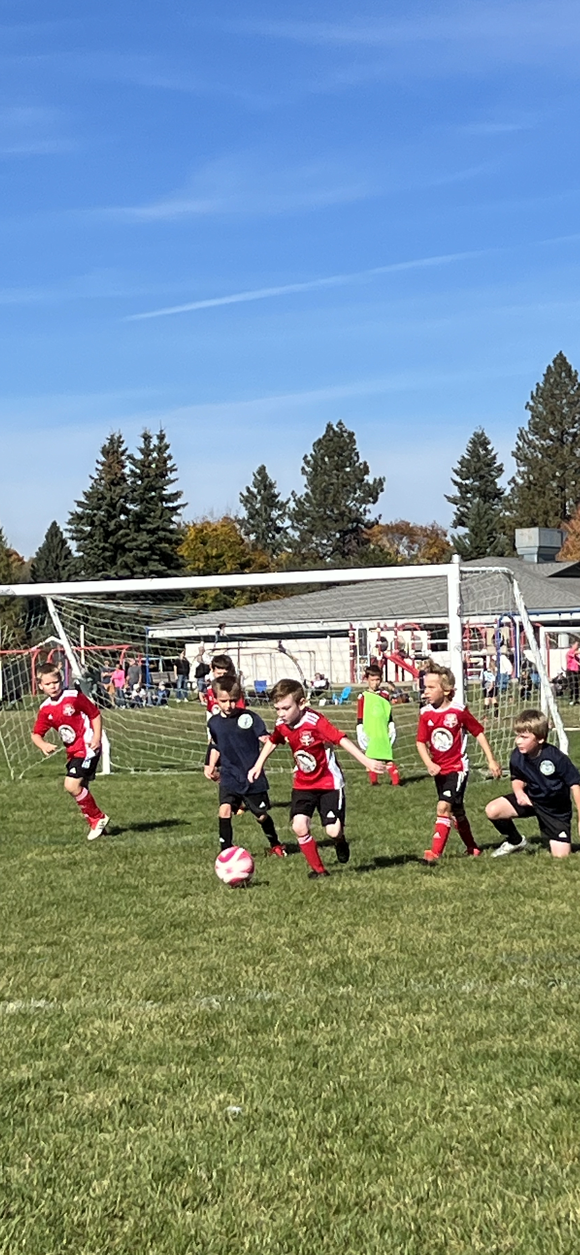 Photo by KATHY STERLING
On Oct. 21, the Timbers North FC 2016 Boys red soccer team beat the Spokane Sounders B2016 North South Krestian 5-3 in U8 fall league play at Hayden Meadows Elementary. Red goals were scored by Colin Happeny (2), Isaak Sterling (1), Elijah Cline (1) and Jackson Martin (1). Pictured in the red jerseys from left are Isaak Sterling, Jackson Martin, Colin Happeny, Elijah Cline and goalie Emmett Cowan.
