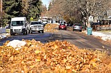 Leaf pick up set for Nov. 13