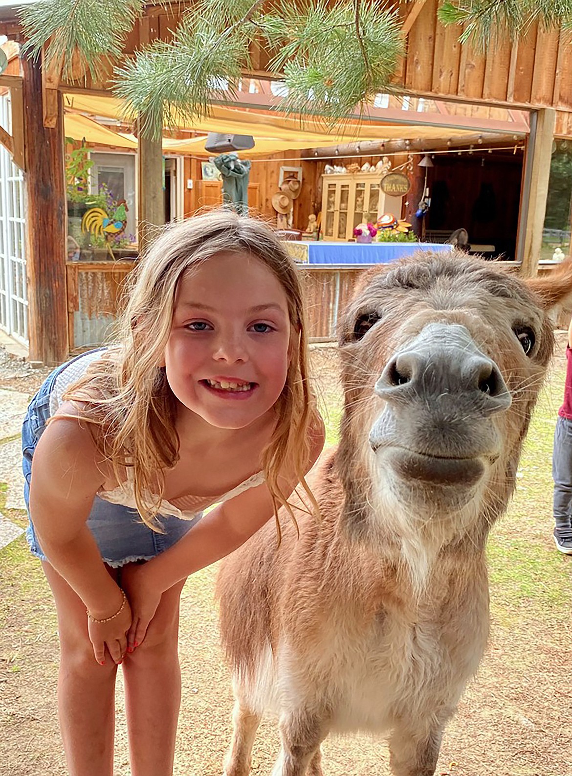 "Say cheese," wrote Jeanelle Shields in sharing this Best Shot taken in early September. If you have a photo that you took that you would like to see run as a Best Shot or I Took The Bee send it to the Bonner County Daily Bee, P.O. Box 159, Sandpoint, Idaho, 83864; or drop them off at 310 Church St., Sandpoint. You may also email your pictures to the Bonner County Daily Bee along with your name, caption information, hometown, and phone number to news@bonnercountydailybee.com.