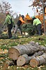 Trees down at Travers Park