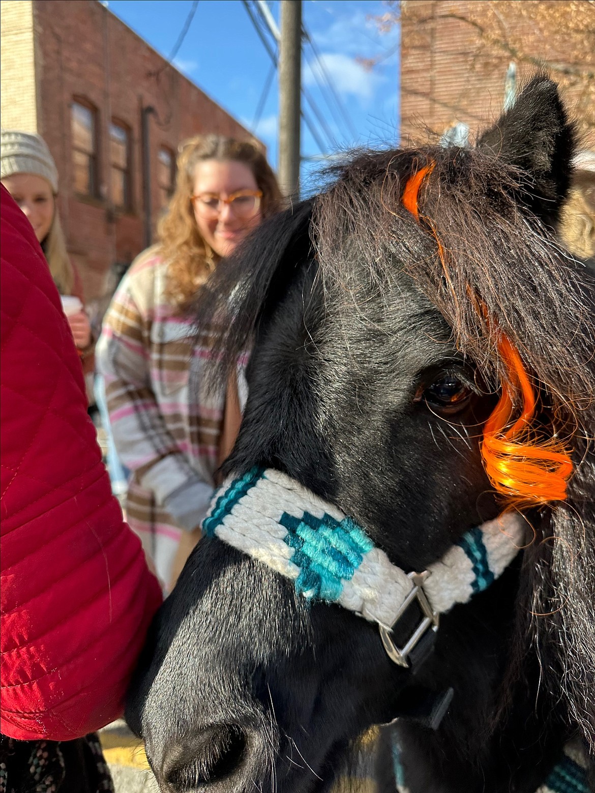 Pony rides were part of the petting zoo at  the Fifth Street Farmer’s Harvest Market Saturday. The market was punctuated by a treasure hunt for apple treats through downtown as part of the Coeur d'Alene Downtown Association's annual Apple Palooza.