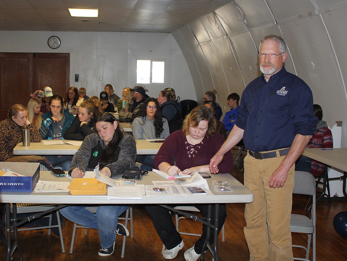 Achievement night recognized the livestock kids of the Mineral County 4-H program for the calendar year and monies from the livestock sale and fair premiums were distributed. Plans and policies were discussed on what will be needed, especially when the Mineral County Fair (Aug. 1-3) arrives, and the 4-H Livestock Auction occurs. Dave Brink and Emily Parks (left), MSU Extension Agents for the county, sort out the belt buckle trophies and achievement certificates before the meeting which was followed up with a potluck.