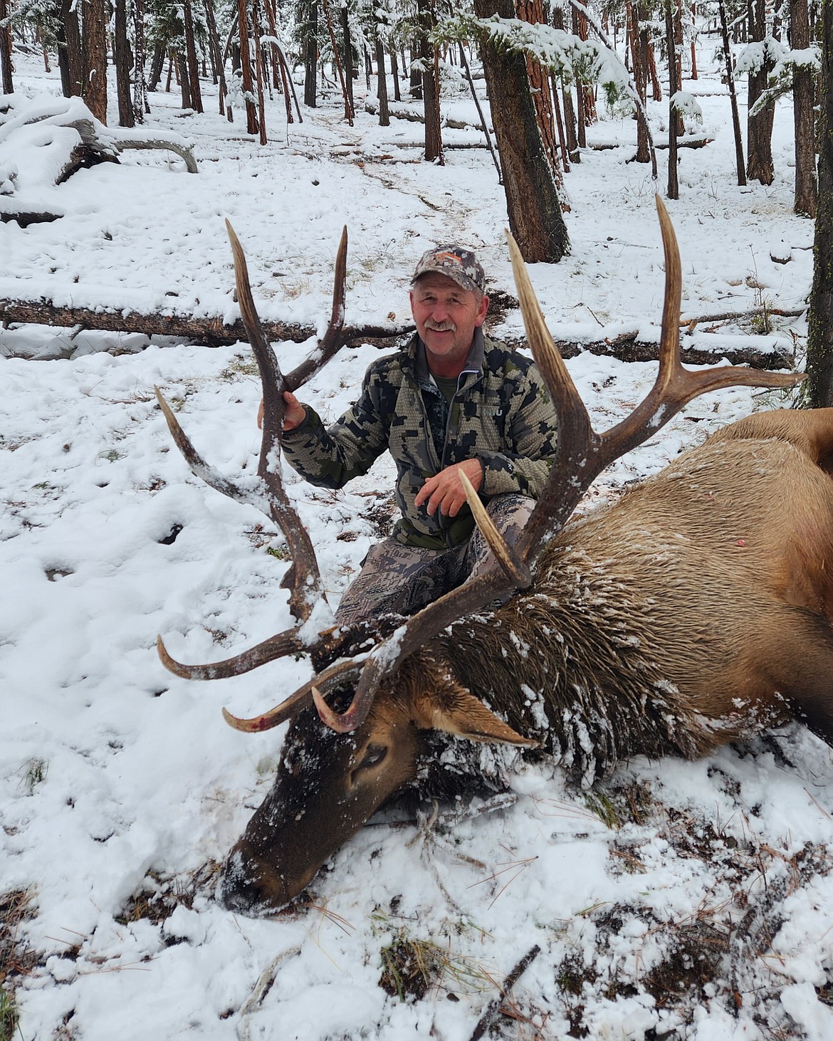 While Kelly Johnston of Superior was punching his elk tag in the first week of the season, his son Tim was in Alaska on a brown bear hunt that almost became a disaster. After the first shot it went into the thickest brush possible. Tim and his guide went in, and it charged. A 12-yard shot from the hip from Tim and another from the guide, this 9.5-foot beast collapsed.