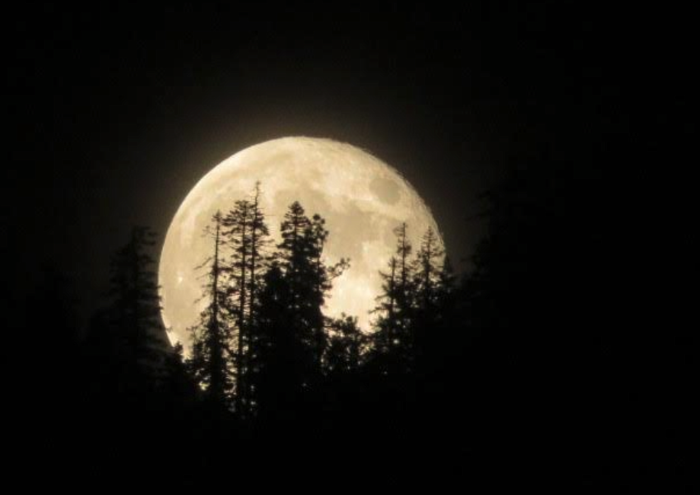 The full moon hangs low over Canfield Mountain as seen Saturday night from Dalton Gardens.