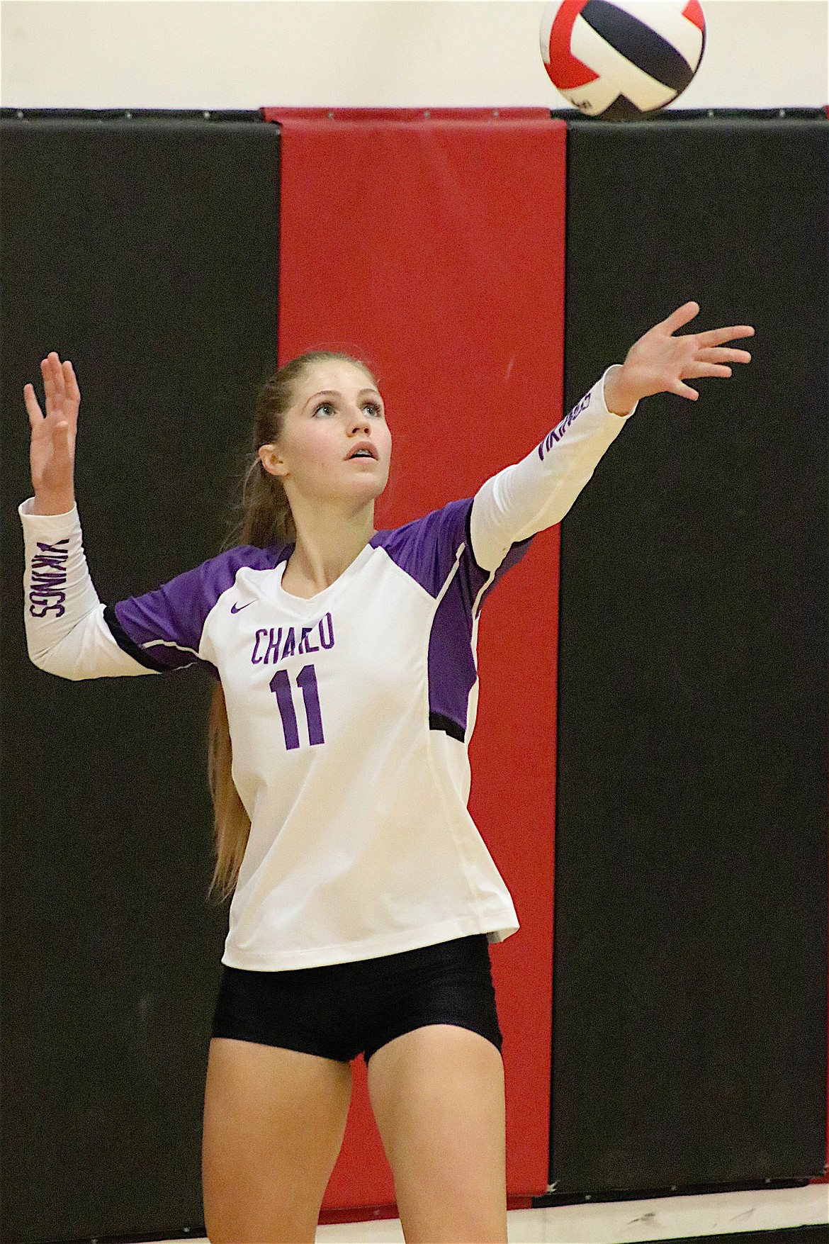 Charlo's Leah Cahoon prepares to serve during the 14C Tournament. (Michelle Sharbono photo)