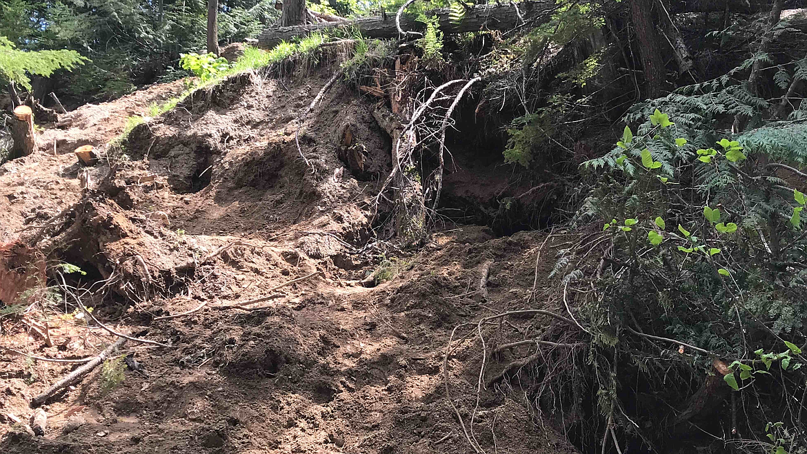 Some of the extensive damage caused by amateur mining activities at the Solo Creek quartz site near Nordman.