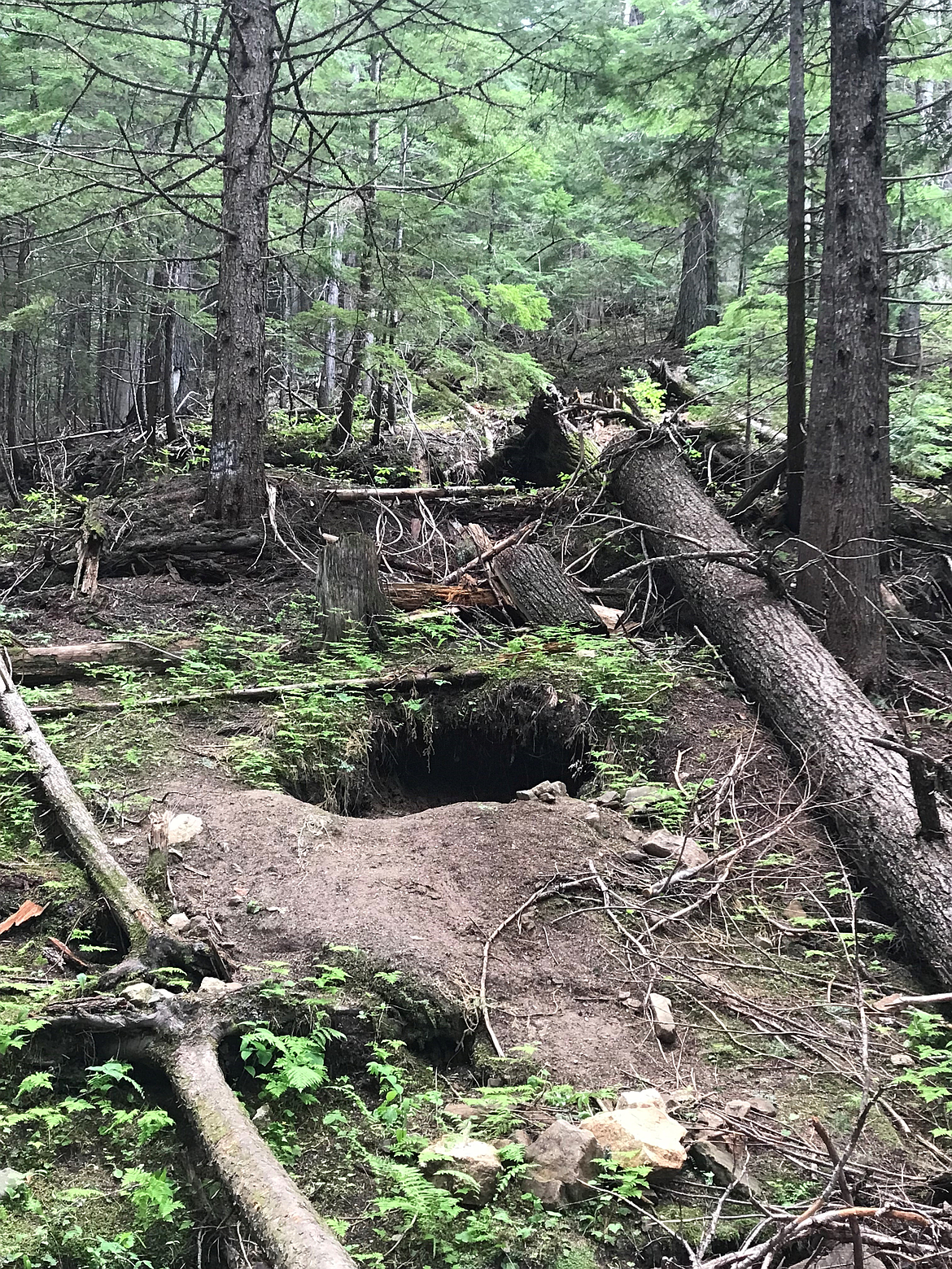 Some of the extensive damage caused by amateur mining activities at the Solo Creek quartz site near Nordman.