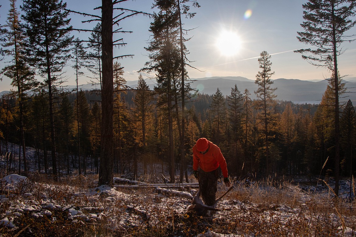 Reese Holden looks at a deer on Oct. 29, 2023. (Kate Heston/Daily Inter Lake)