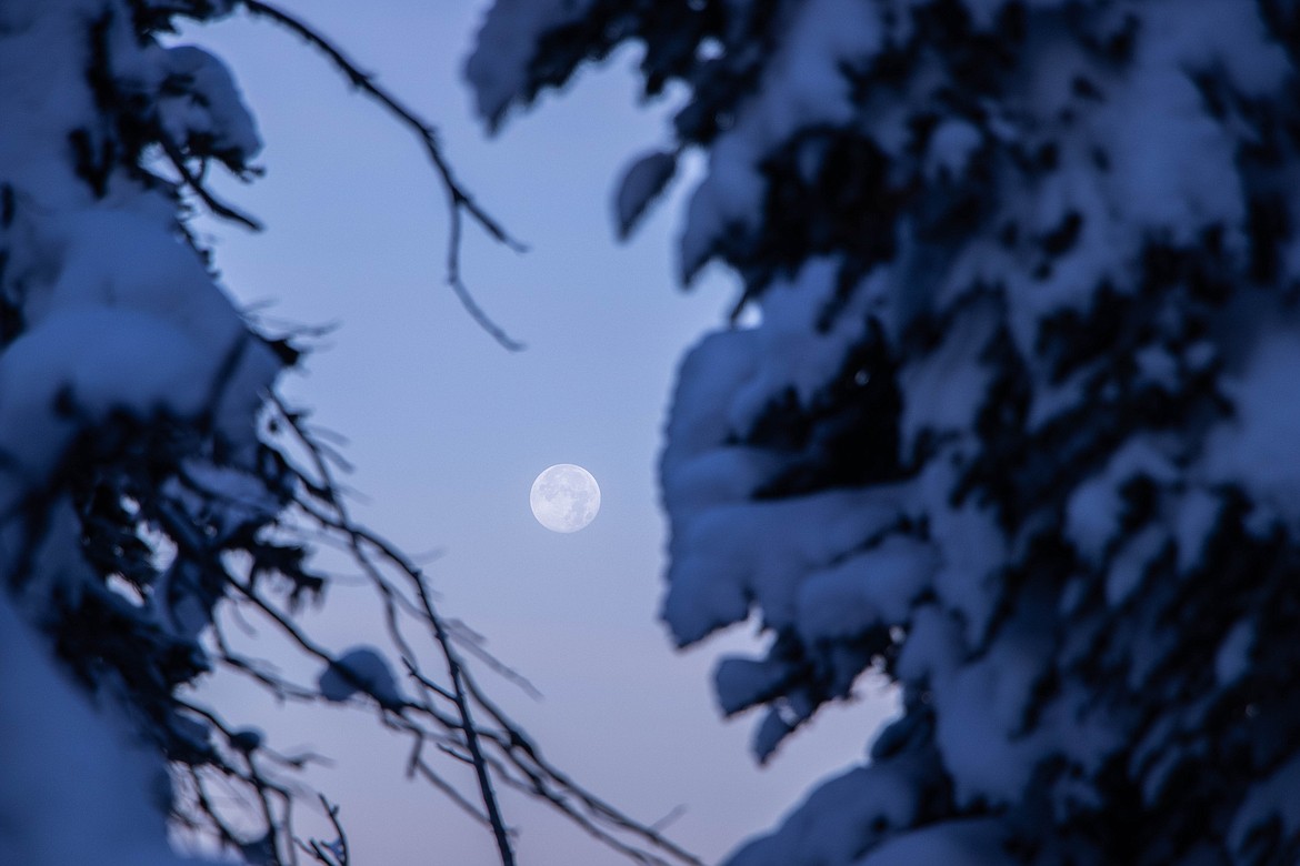 The moon shines early in the morning on Oct. 29, 2023 near Link Lake. (Kate Heston/Daily Inter Lake)